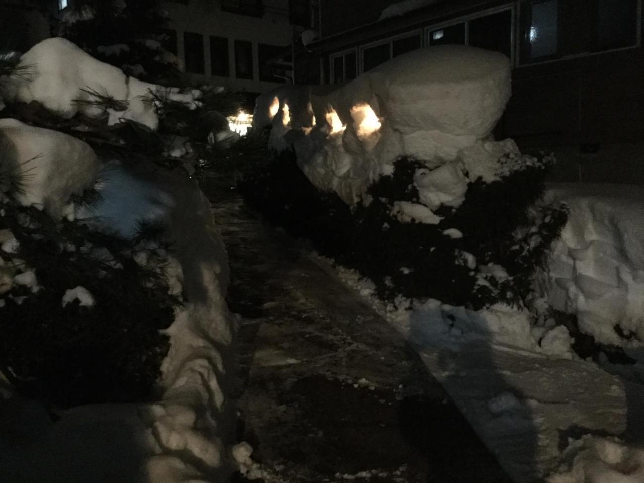 Tobei Hotel Nozawa Luaran gambar